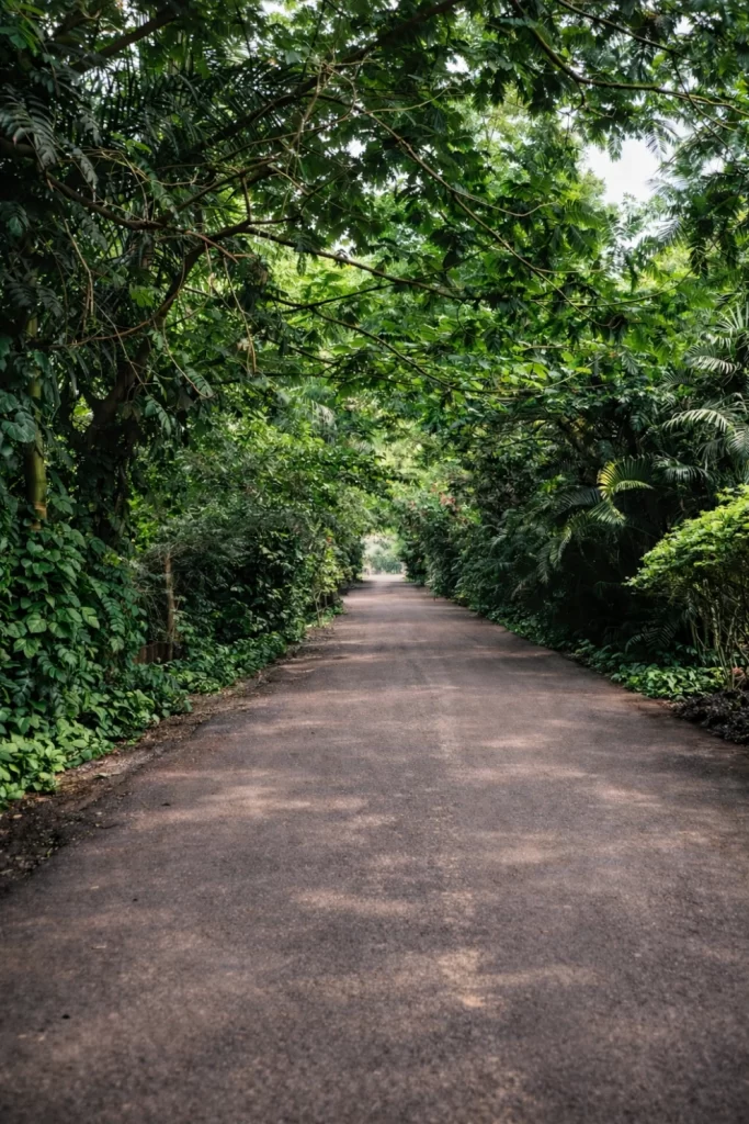 Bhubaneswar Gallery